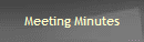 Meeting Minutes