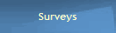 Surveys