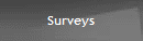 Surveys