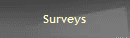 Surveys